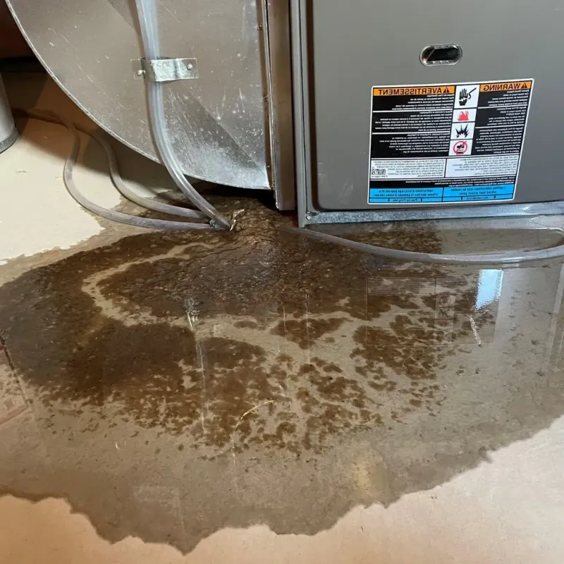Pipe Burst and Leak Restoration in Presidential Lakes Estates, NJ
