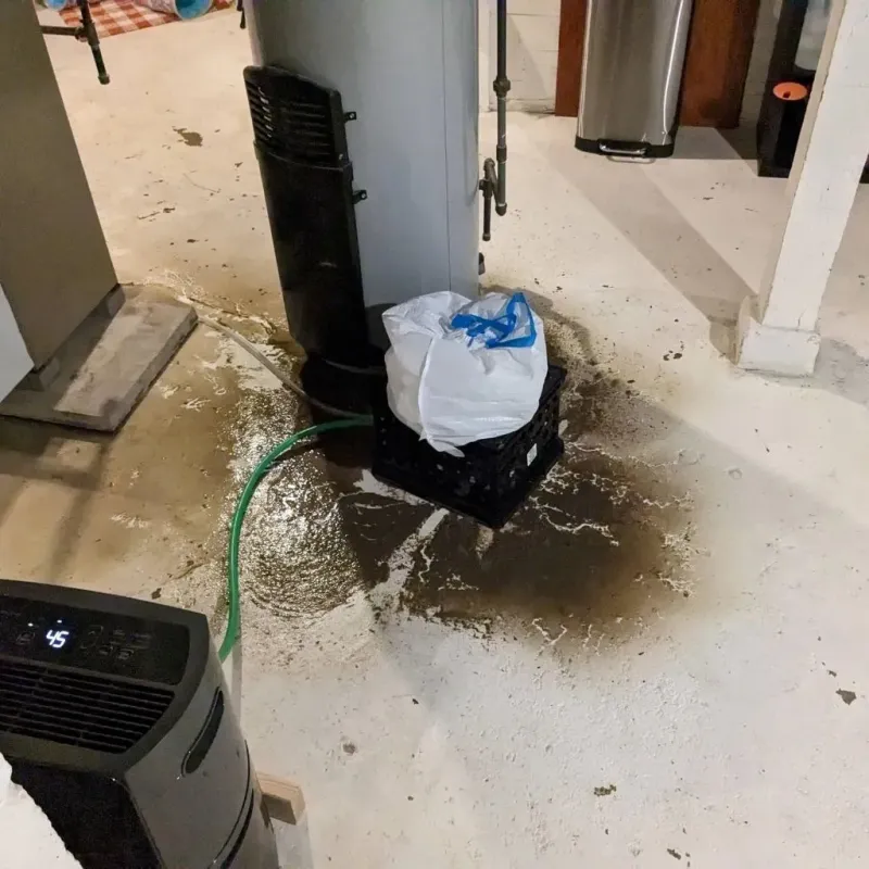 Sewage Backup Cleanup Service in Presidential Lakes Estates, NJ